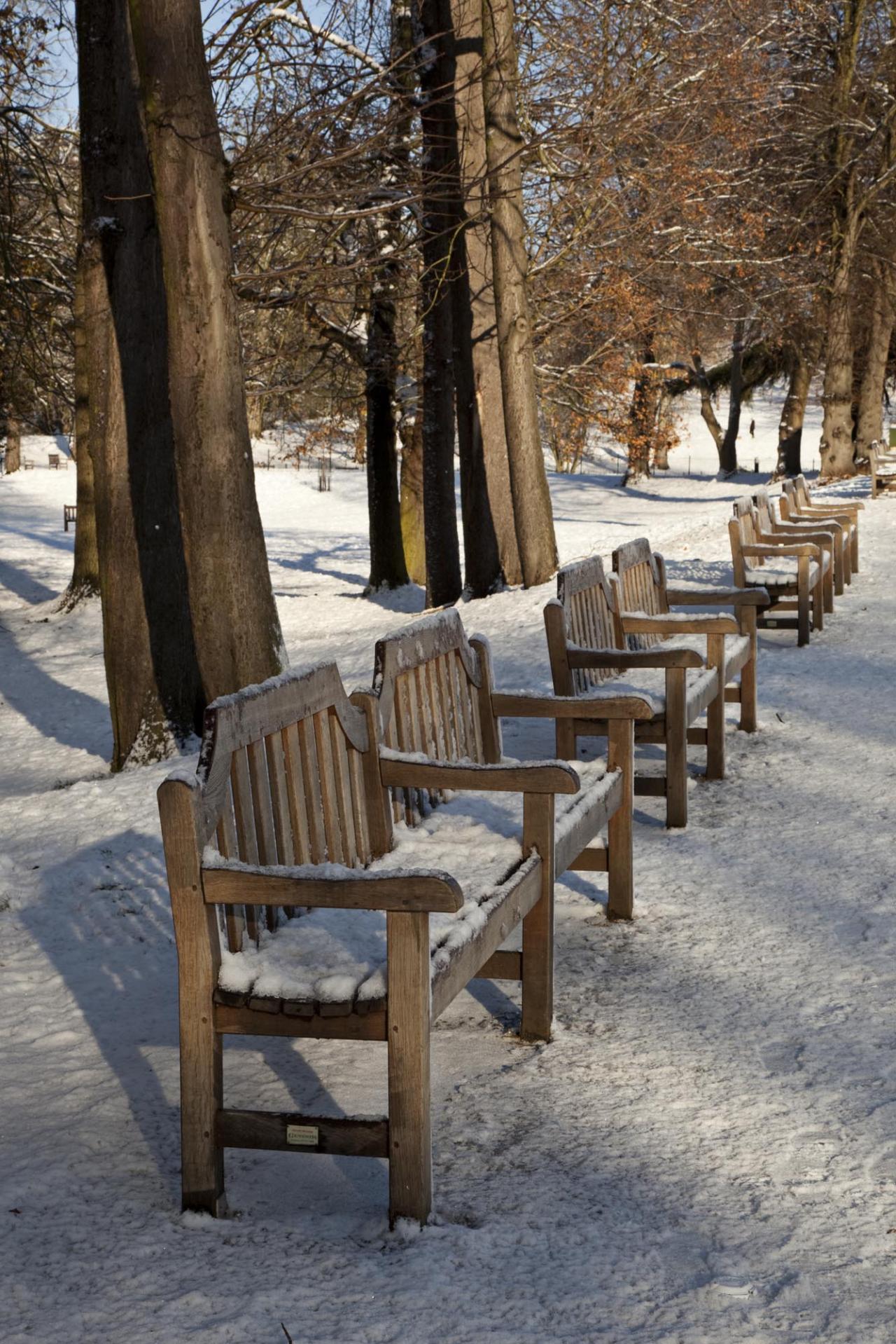 WINTER PARK SCENE
